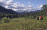 Walkers in a broad green valley